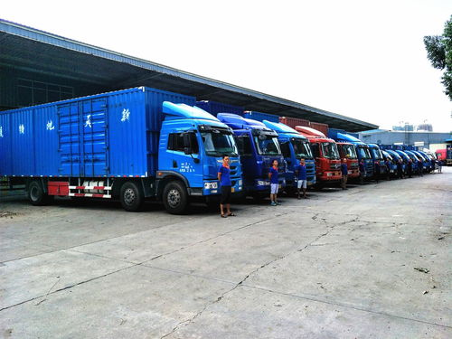 從倉儲到送達 解析現代物流運輸與倉儲服務的核心構成